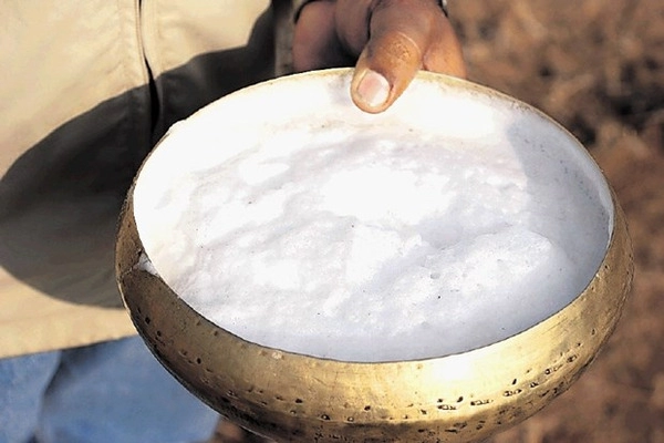 mliecna cokoláda camel milk